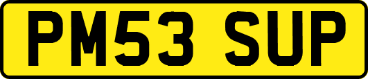 PM53SUP