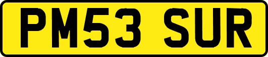 PM53SUR