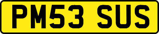 PM53SUS