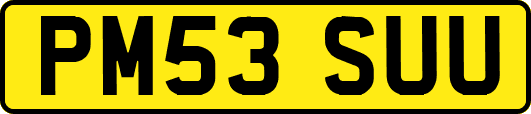 PM53SUU