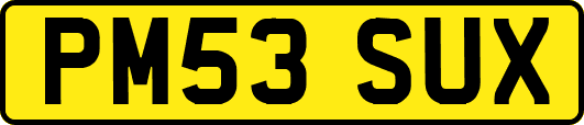 PM53SUX