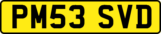 PM53SVD