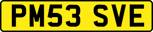 PM53SVE