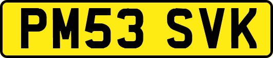 PM53SVK