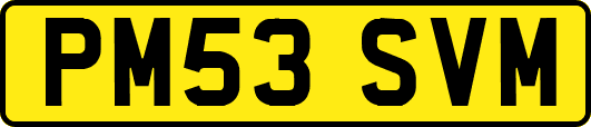 PM53SVM