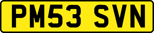 PM53SVN