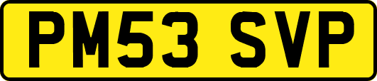 PM53SVP
