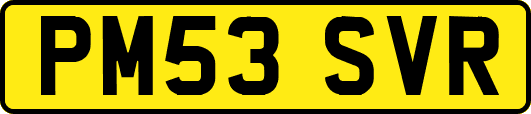 PM53SVR