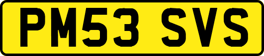 PM53SVS
