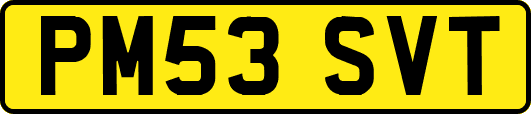 PM53SVT