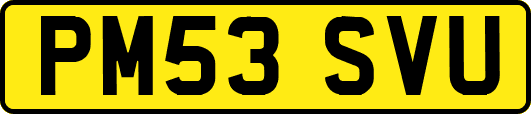 PM53SVU