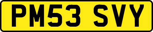 PM53SVY