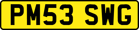 PM53SWG