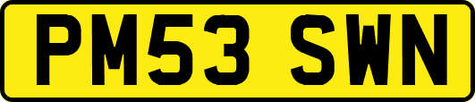 PM53SWN
