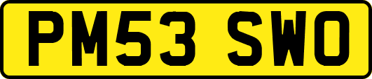PM53SWO
