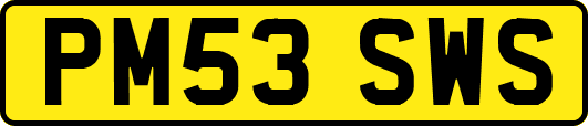 PM53SWS