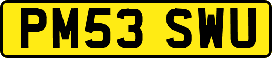 PM53SWU