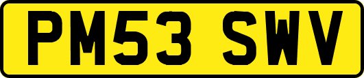 PM53SWV