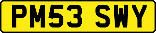 PM53SWY