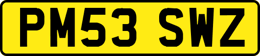 PM53SWZ