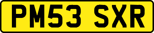 PM53SXR