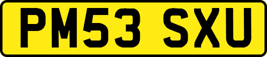 PM53SXU