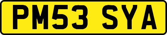 PM53SYA
