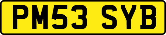 PM53SYB