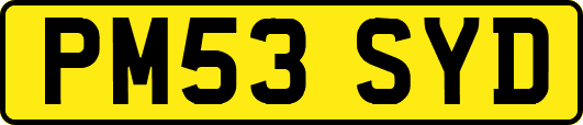 PM53SYD