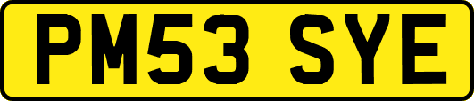 PM53SYE