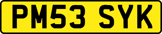 PM53SYK