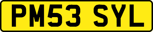 PM53SYL