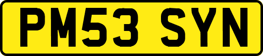 PM53SYN