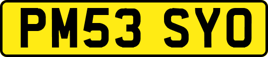 PM53SYO