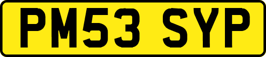 PM53SYP