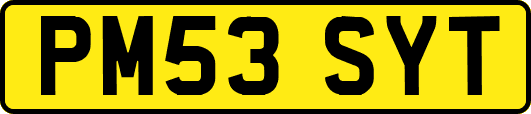 PM53SYT