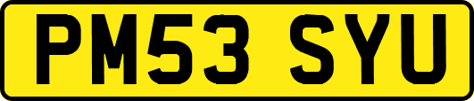 PM53SYU
