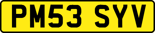 PM53SYV