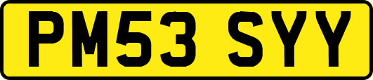 PM53SYY