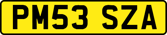 PM53SZA