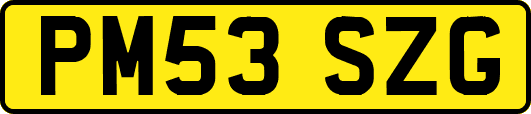 PM53SZG