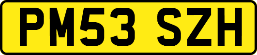 PM53SZH