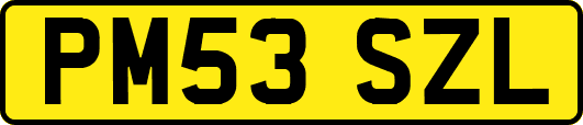 PM53SZL