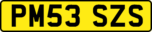 PM53SZS
