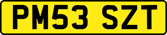 PM53SZT