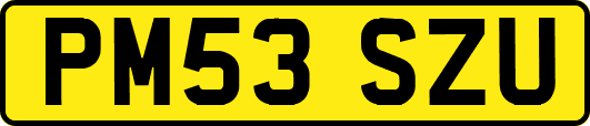 PM53SZU