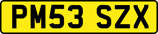 PM53SZX