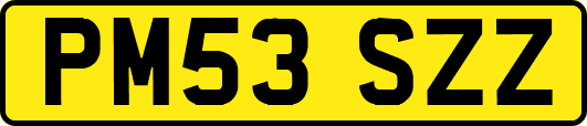 PM53SZZ