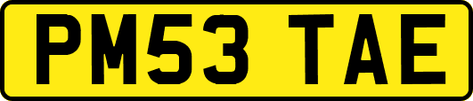 PM53TAE