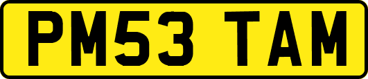 PM53TAM